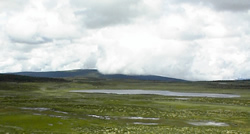 Fjellvann